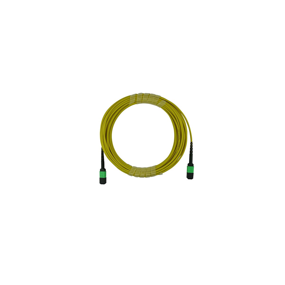 3c9252e4078775156a8fc28a6e8317a1