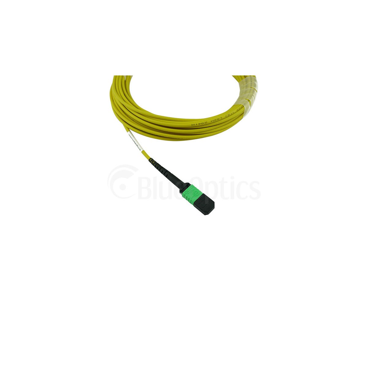 8cb650ecf2ab7c0c4ca70b2fd26c0a6e