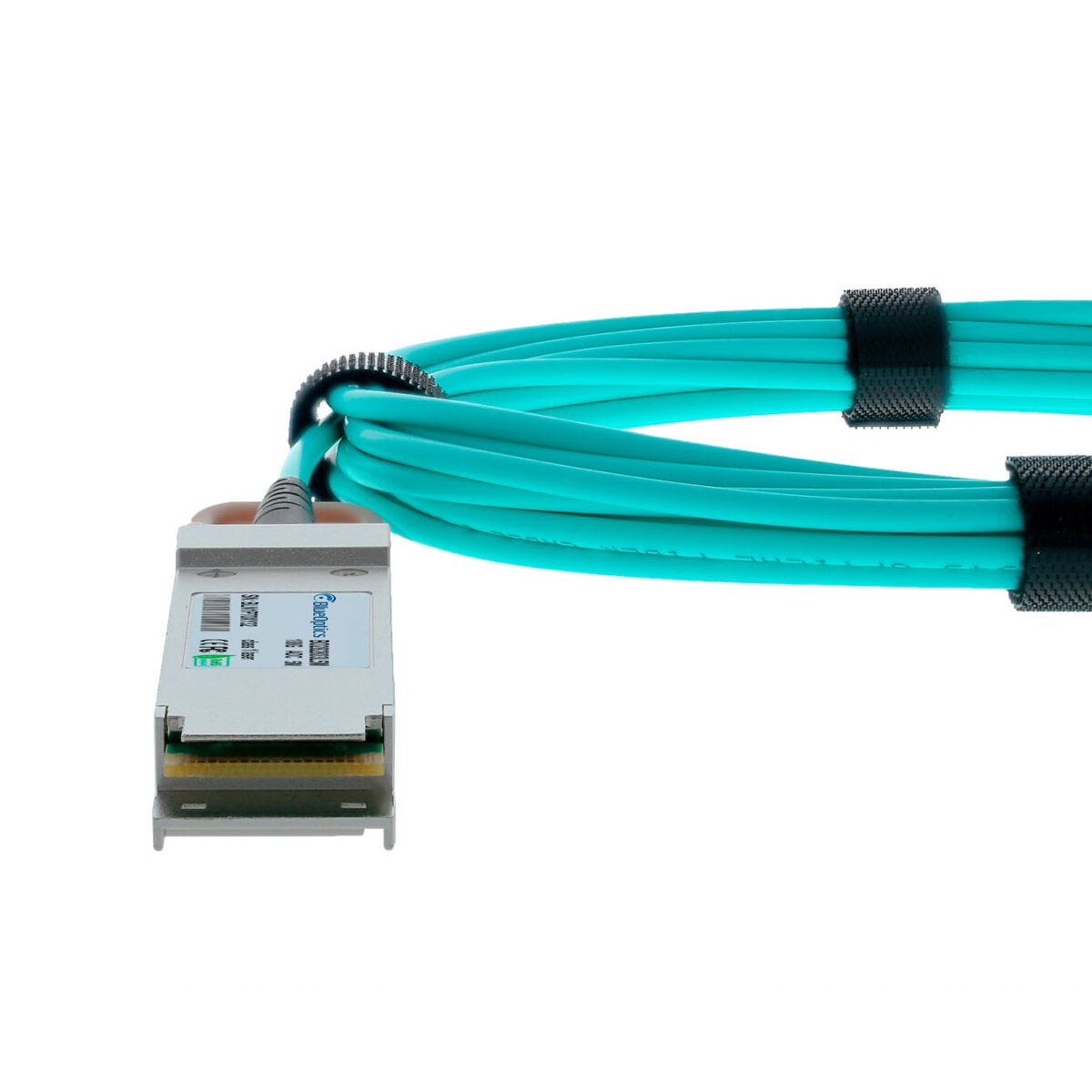 fdf31408e3884bf0cbd86a4953f19461