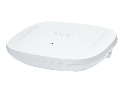 Image1