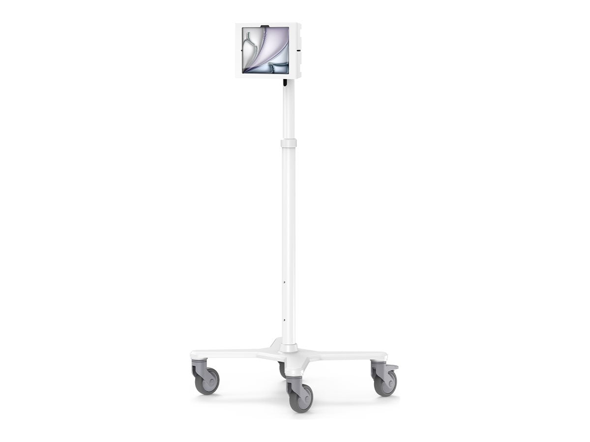 https://media.itscope.com/img/p/z8hxzLyfrqVDAPT-3zzTRyycnArXBRq9-GXlVbXvNEo=/aHR0cHM6Ly9jZG4uY3MuMXdvcmxkc3luYy5jb20vMjMvODgvMjM4ODA1MjUtNDhjZS00Nzg4LWEwNjgtOWNhM2JjNzQ2ZTU1LmpwZw==