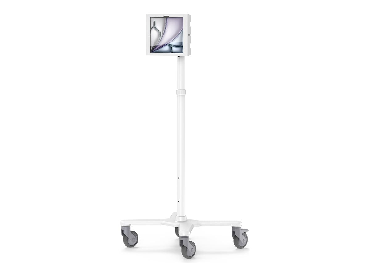 https://media.itscope.com/img/p/nbdYqmxAFGuJbYJVZyhUPyTC-s7r9C7a7a0NujyGhcU=/aHR0cHM6Ly9jZG4uY3MuMXdvcmxkc3luYy5jb20vNDQvNjEvNDQ2MWUyZDYtNDgzMC00NTMzLWE5YWQtODBlZWZmNGNkZTNmLmpwZw==