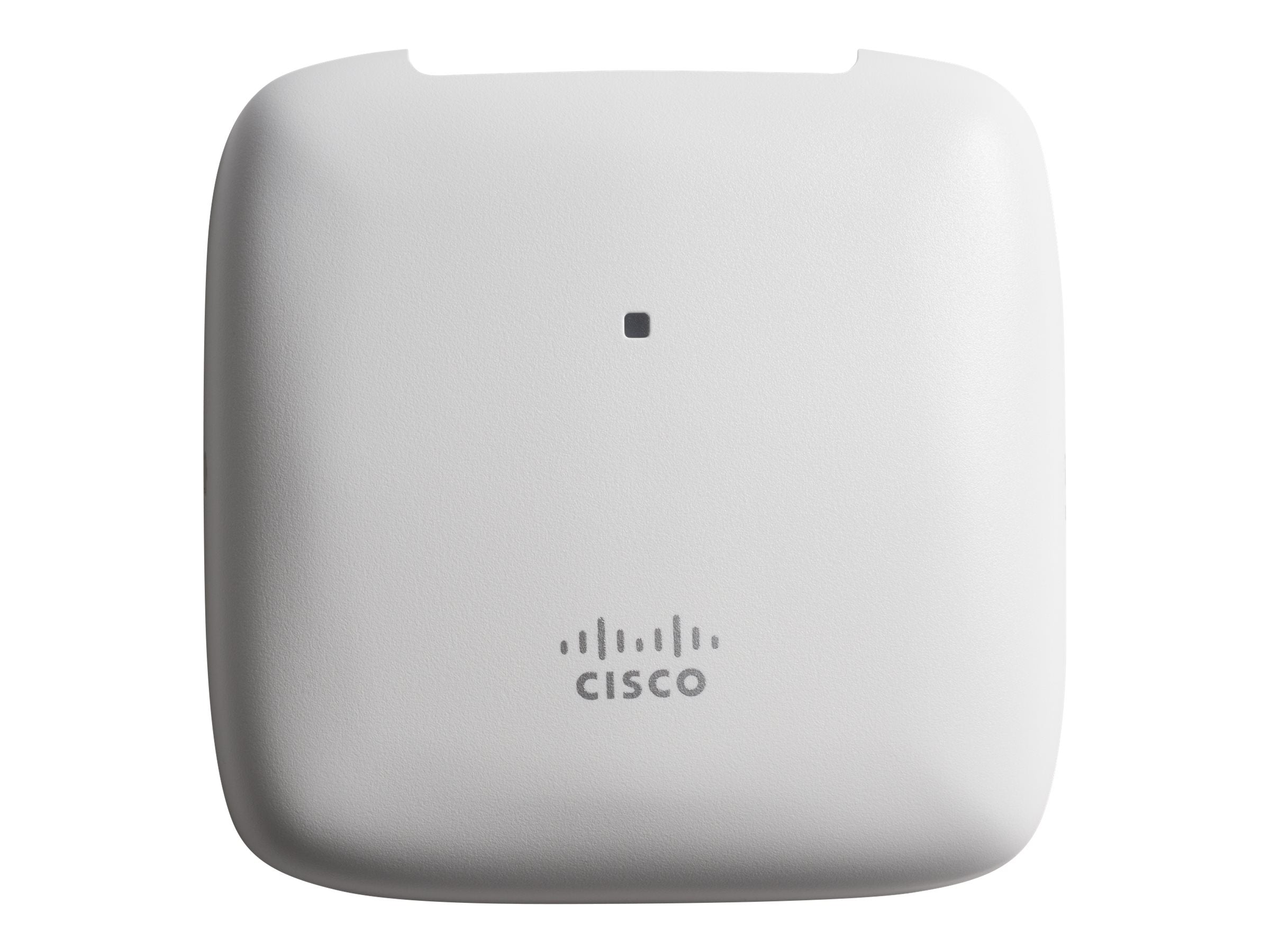 Image1