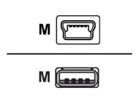 Image1