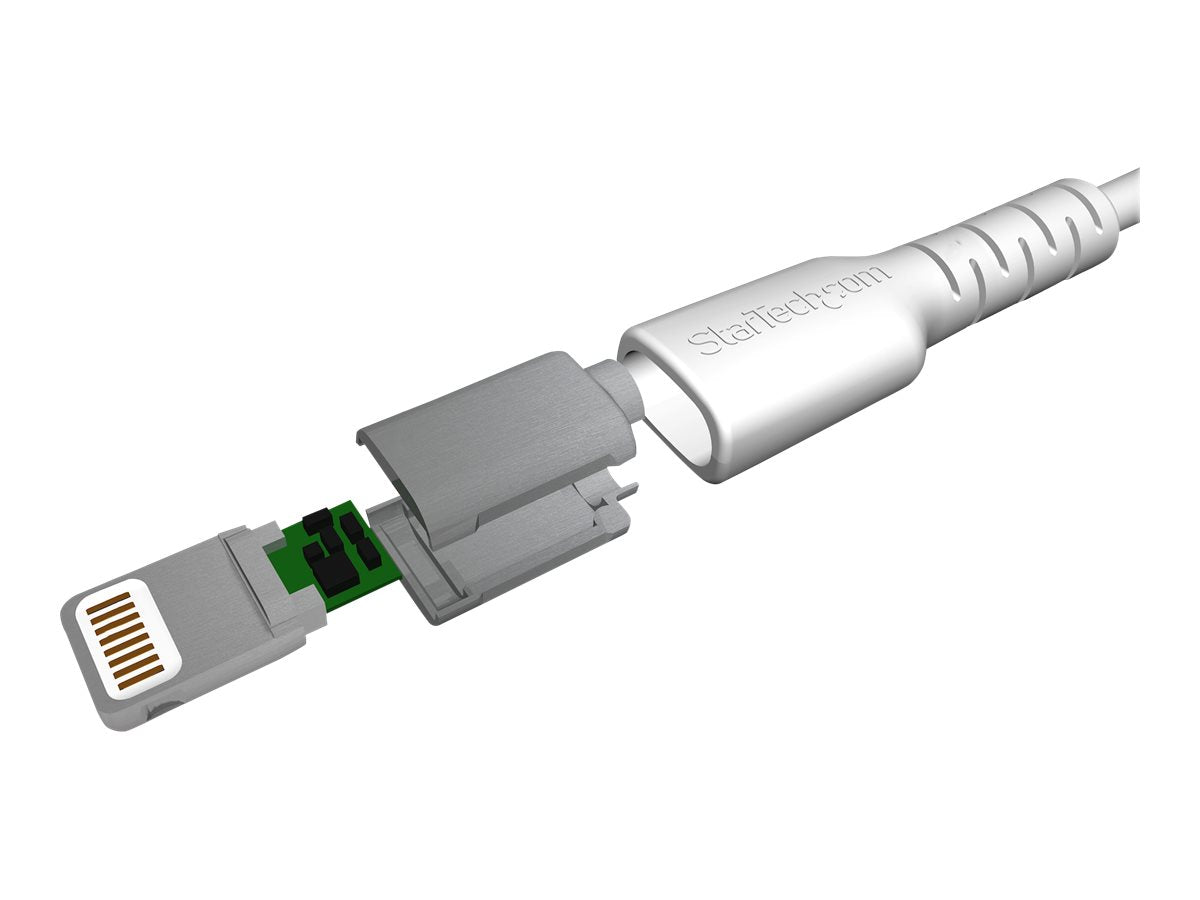 Image3