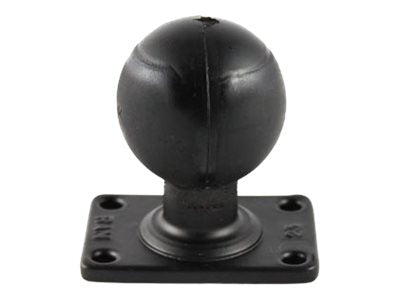 Image1
