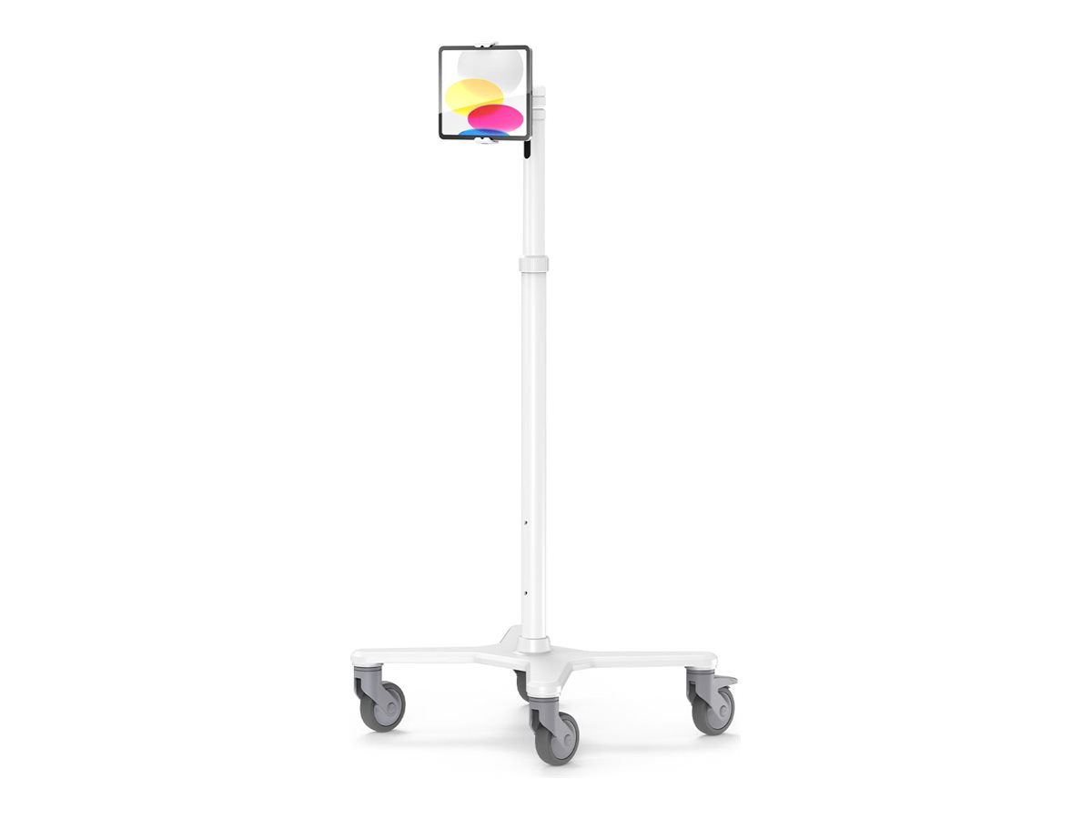 https://media.itscope.com/img/p/p-uPtSjpDzKYxdsSFtArxvkmuCTknZcc6hPaDzmJYF8=/aHR0cHM6Ly9jZG4uY3MuMXdvcmxkc3luYy5jb20vZDMvMTgvZDMxOGFlNzQtOGViNS00Mjk5LWJhYjAtMjUwZjkxOWU5NmU1LmpwZw==