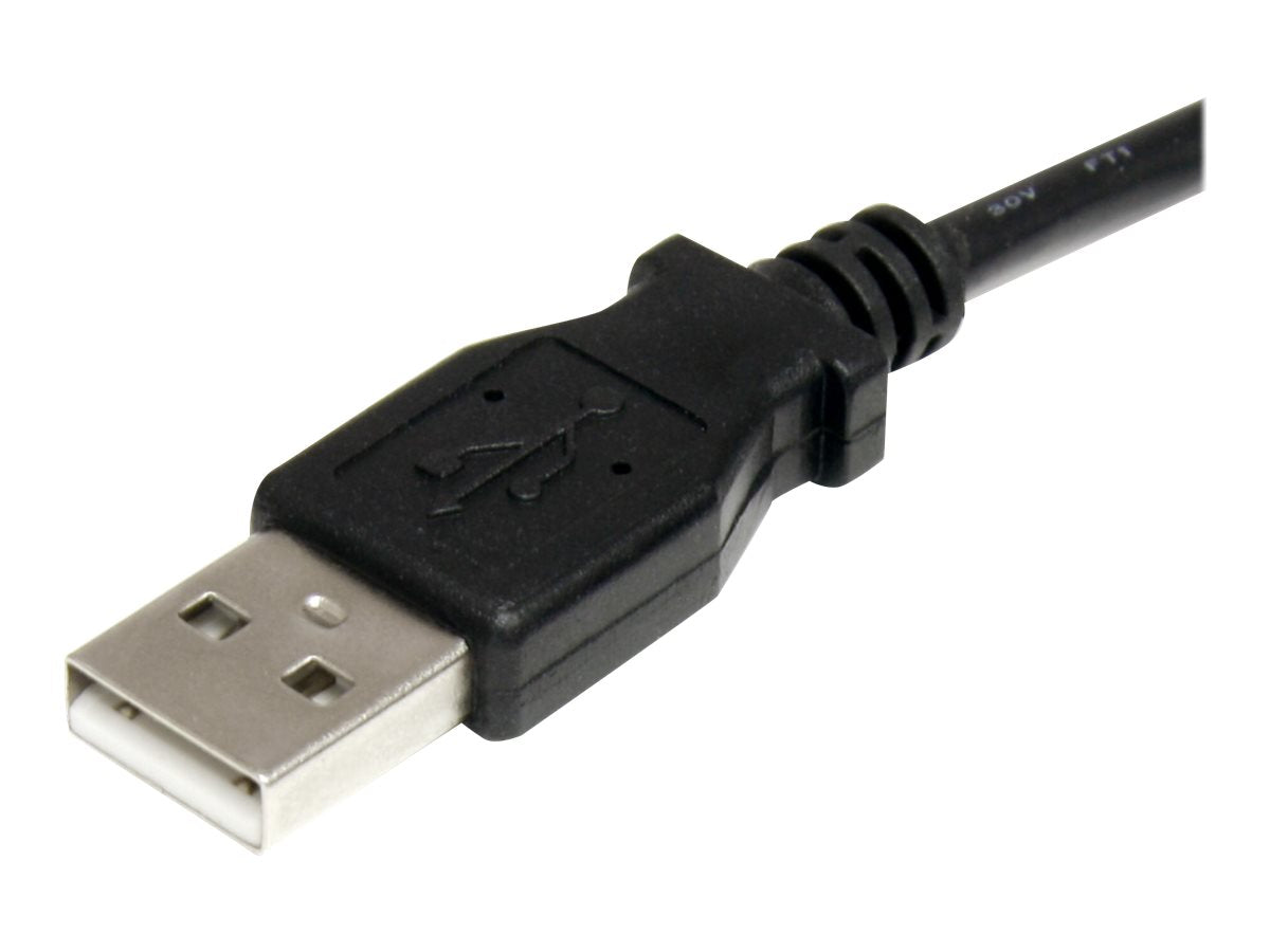Image3