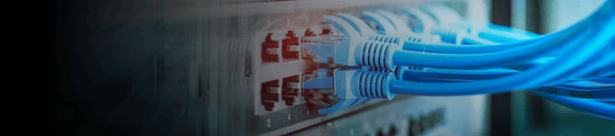 Netzwerk & WLAN
