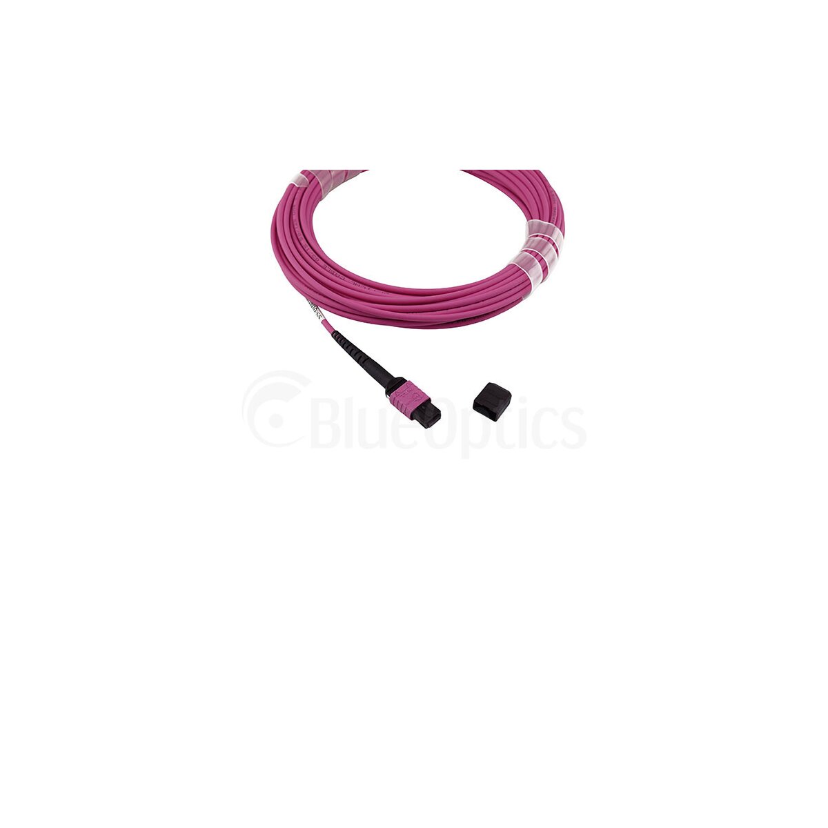 7024876384898cc91314620965642959