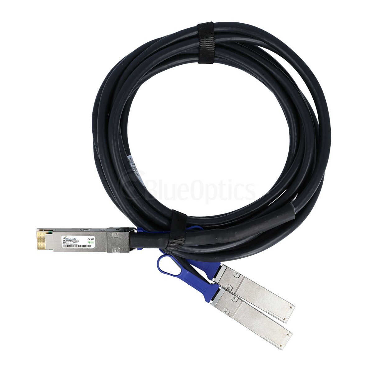 https://media.itscope.com/img/p/jLKzqhbfSKMCPWRhTkqCjHv4iy1WiIQBv585sJLmlF0=/aHR0cHM6Ly93d3cuYmx1ZW9wdGljcy5kZS9tZWRpYS9pbWFnZS9wcm9kdWN0LzEwMTkzNS9sZy9ibHVlbGFuLWJsMjkwNzAxeDJtMjYtcXNmcC1kZC0yeHFzZnA1Ni1kYWMtZGlyZWN0LWF0dGFjaC1icmVha291dC1rYWJlbC00MDAtZ2lnYWJpdC00MDBnYmFzZS1jcjgtcGFzc2l2LTItbWV0ZXJ-Mi5qcGc=