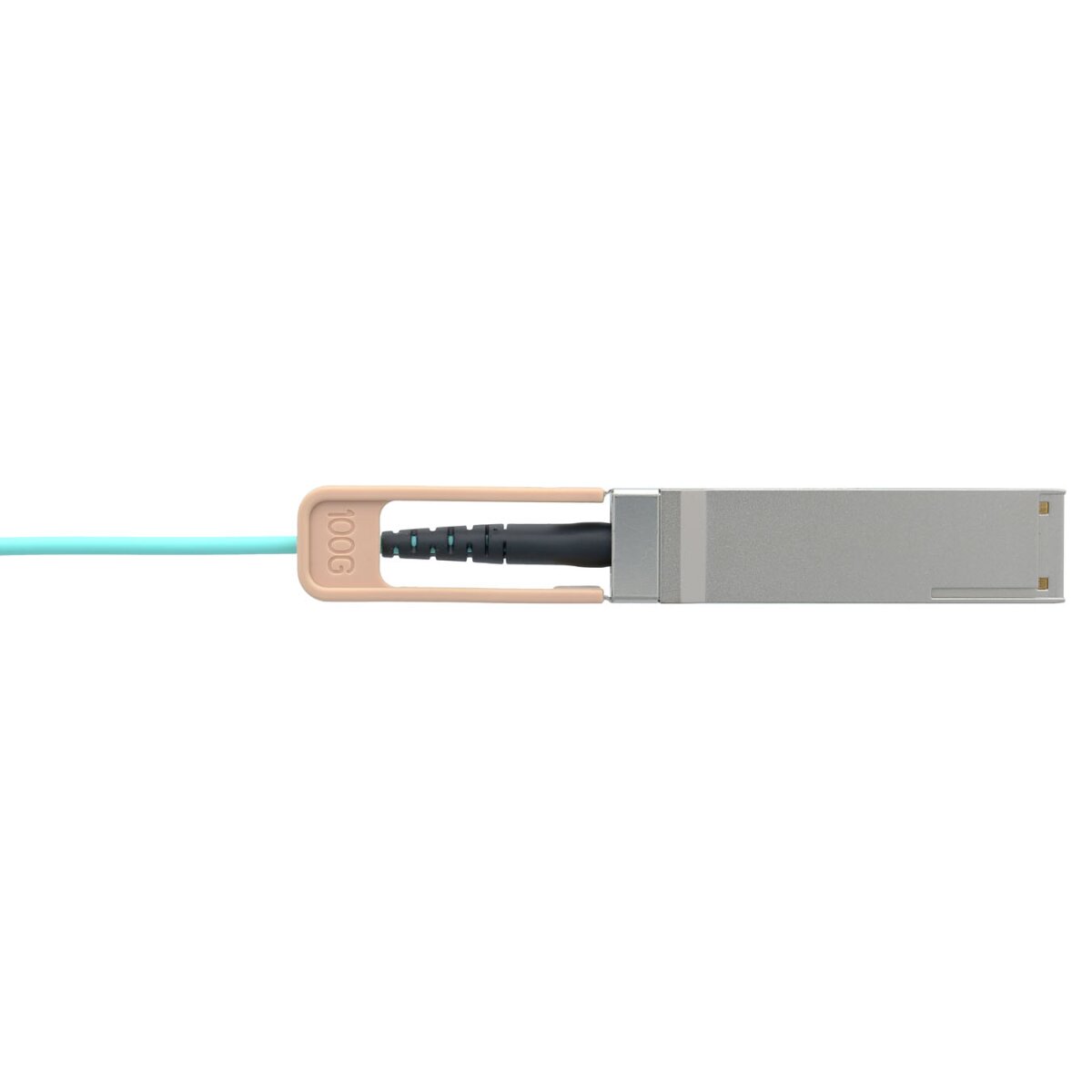 2d737d190cc71eb001e9e531dda1daf4