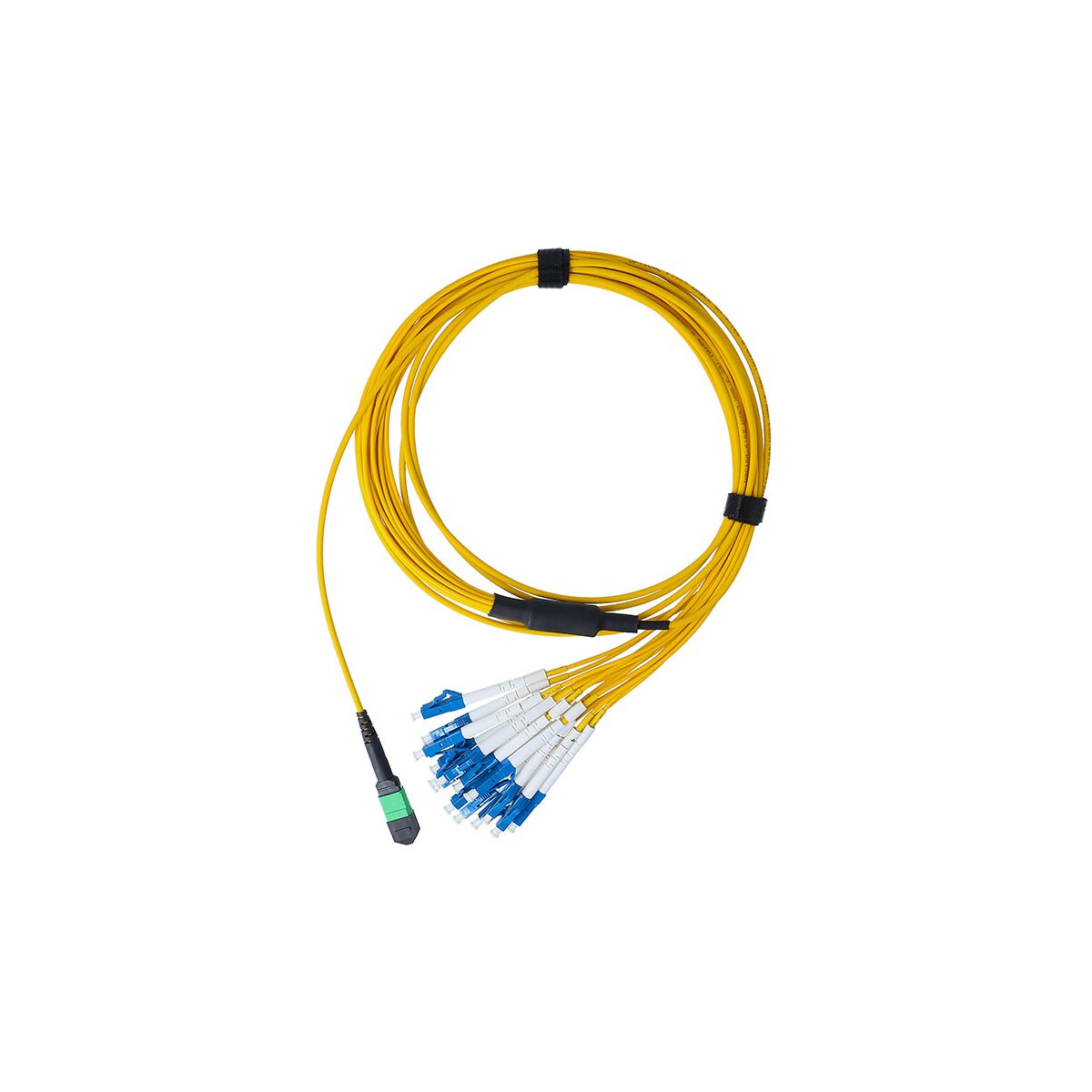https://media.itscope.com/img/p/J-anKan7QMRSiix-laQ3WIt2Qj9Wcj_Pp6yCeSJVtak=/aHR0cHM6Ly93d3cuYmx1ZW9wdGljcy5kZS9tZWRpYS9pbWFnZS9wcm9kdWN0LzkzMzA3L2xnL3NmcDU1NDFidTNta2ItYmx1ZW9wdGljcy1sd2wtYnJlYWtvdXQta2FiZWwtbXBvLXVwYy04eGR1cGxleC1sYy11cGMtMy1tZXRlci1zaW5nbGUtbW9kZS1lOS0xMjV1bS1nLTY1Ny1hMS1tcG8tMy0wbW0tbHN6aC1nZWxiLTE2LWtlcm5lLmpwZw==
