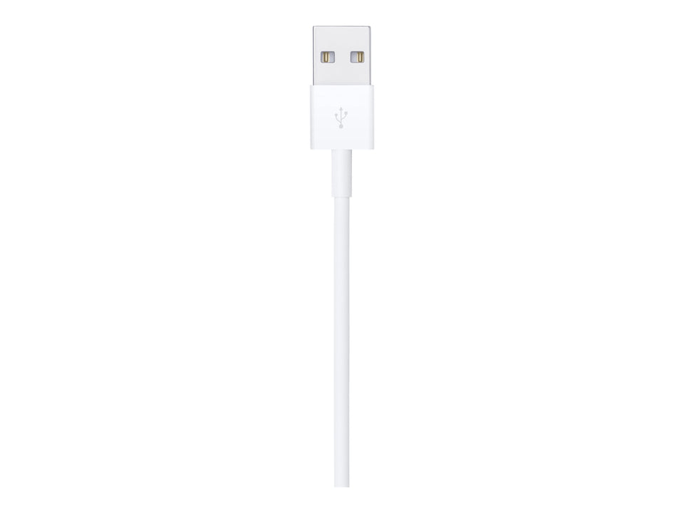 Apple Lightning-Kabel - Lightning männlich