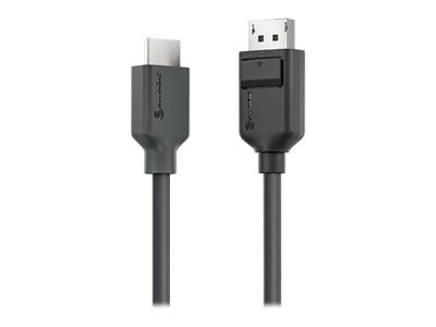 Alogic Elements Series - Adapterkabel - DisplayPort