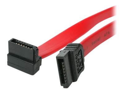 Image1