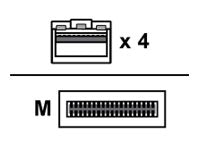 https://media.itscope.com/img/p/8vbdZXu_BUBNLCXXtmh9orxMZxCO6x5g5Dxe5ZZSq3U=/aHR0cHM6Ly9jZG4uY3MuMXdvcmxkc3luYy5jb20vMWEvMDIvMWEwMjZiYTYtYmQ4ZS00ZGZkLWFhMDEtM2JkMjBlNDhlMGJmLmpwZw==