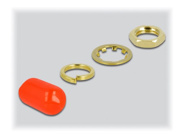Image2