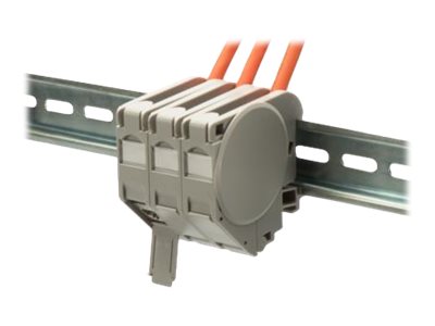 Image1