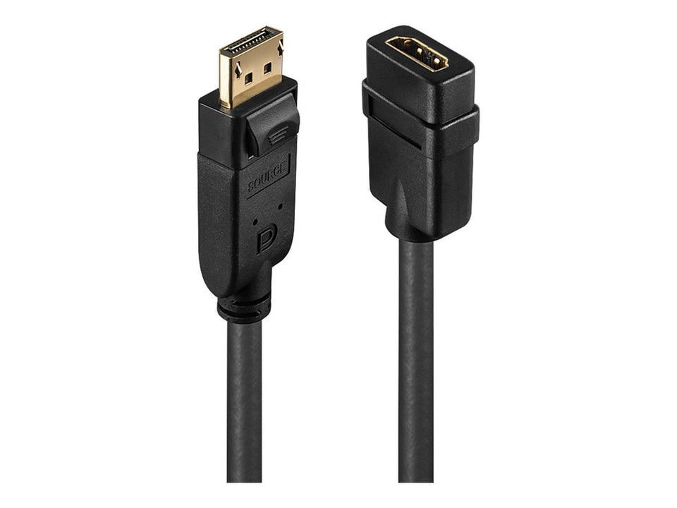 Lindy Videoadapter - DisplayPort männlich zu