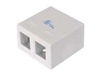 DIGITUS Konsolidierungs-Punkt Gehäuse für 2x Keystone Module