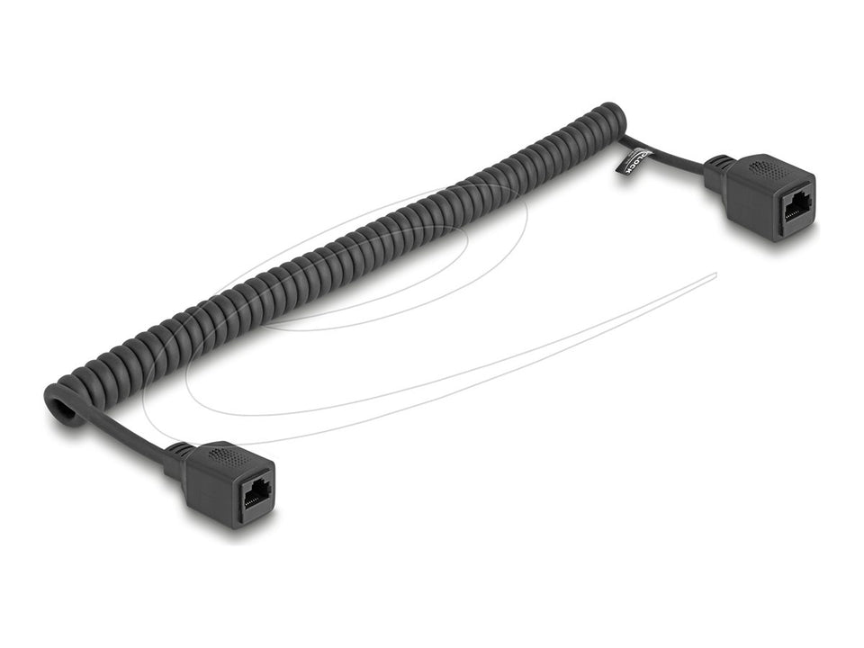 Delock Netzwerkverlängerungskabel - RJ-45 (W)