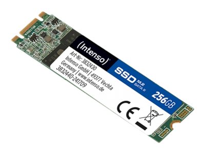 Intenso TOP - SSD - 256 GB - intern - M.2 2280