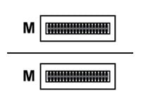 Image1