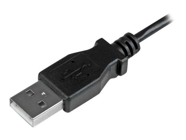 Image2