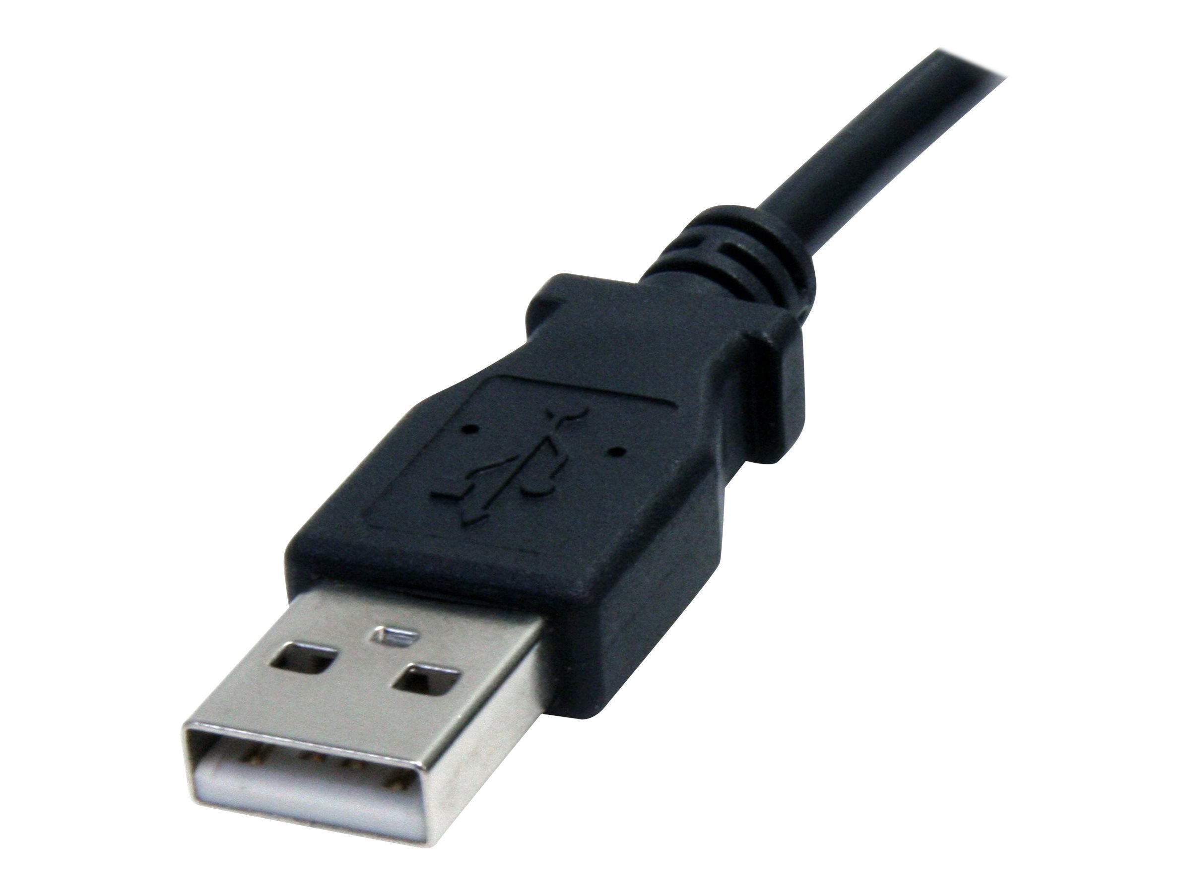 Image2