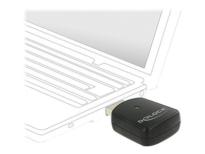 Delock Wireless LAN USB Mini Stick - Netzwerkadapter