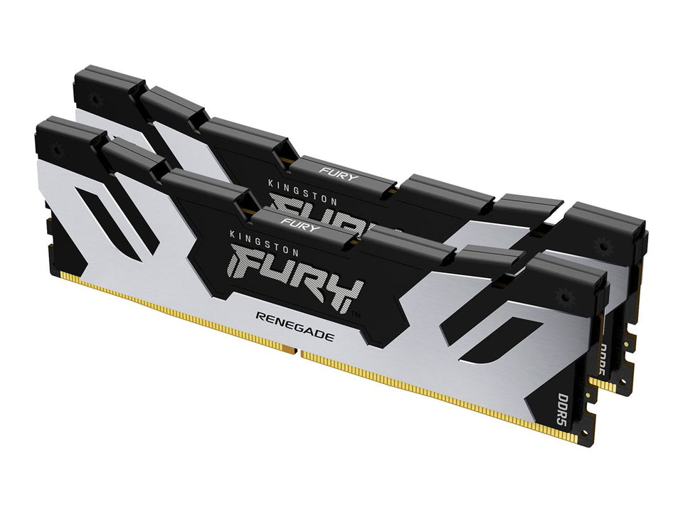 Kingston FURY Renegade Silver - DDR5 - Kit