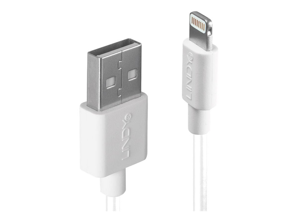 Lindy Lightning-Kabel - Lightning männlich