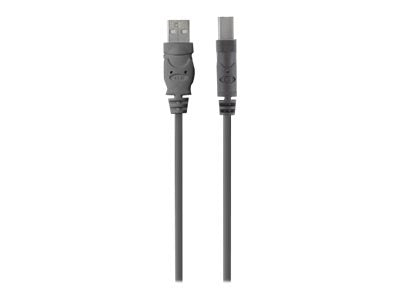 Belkin Premium Printer Cable - USB-Kabel - USB Typ B (M)