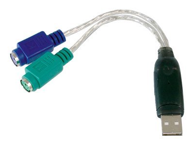 Image2