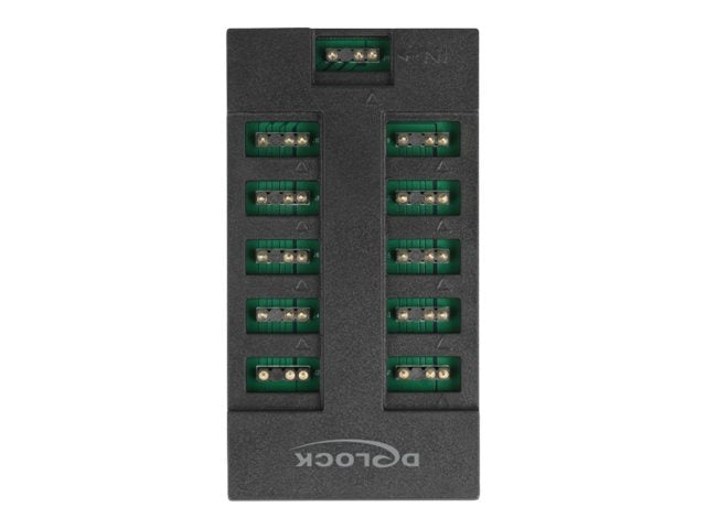 Delock RGB LED-Licht-Hub - 10 Ports - Schwarz