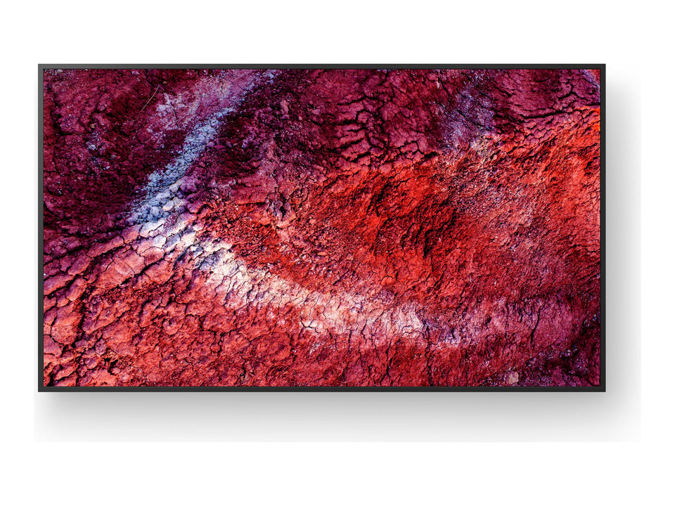 Sony Bravia Professional Displays FW-75BZ40P - 190 cm (75")