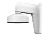 LevelOne CAS-7301 - Befestigungs-Kit für Kamerakuppel