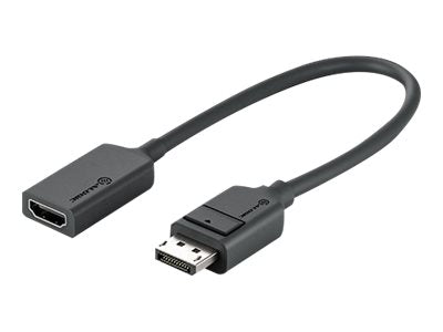 Alogic Elements Series - Videoadapter - DisplayPort