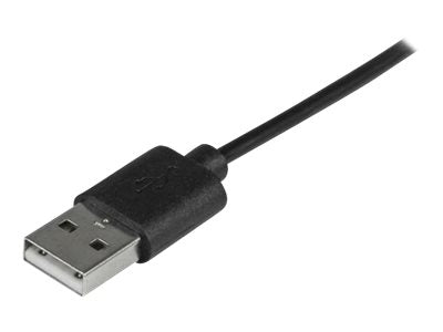 Image3