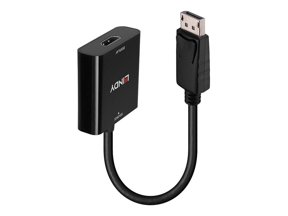 Lindy Videoadapter - DisplayPort männlich zu