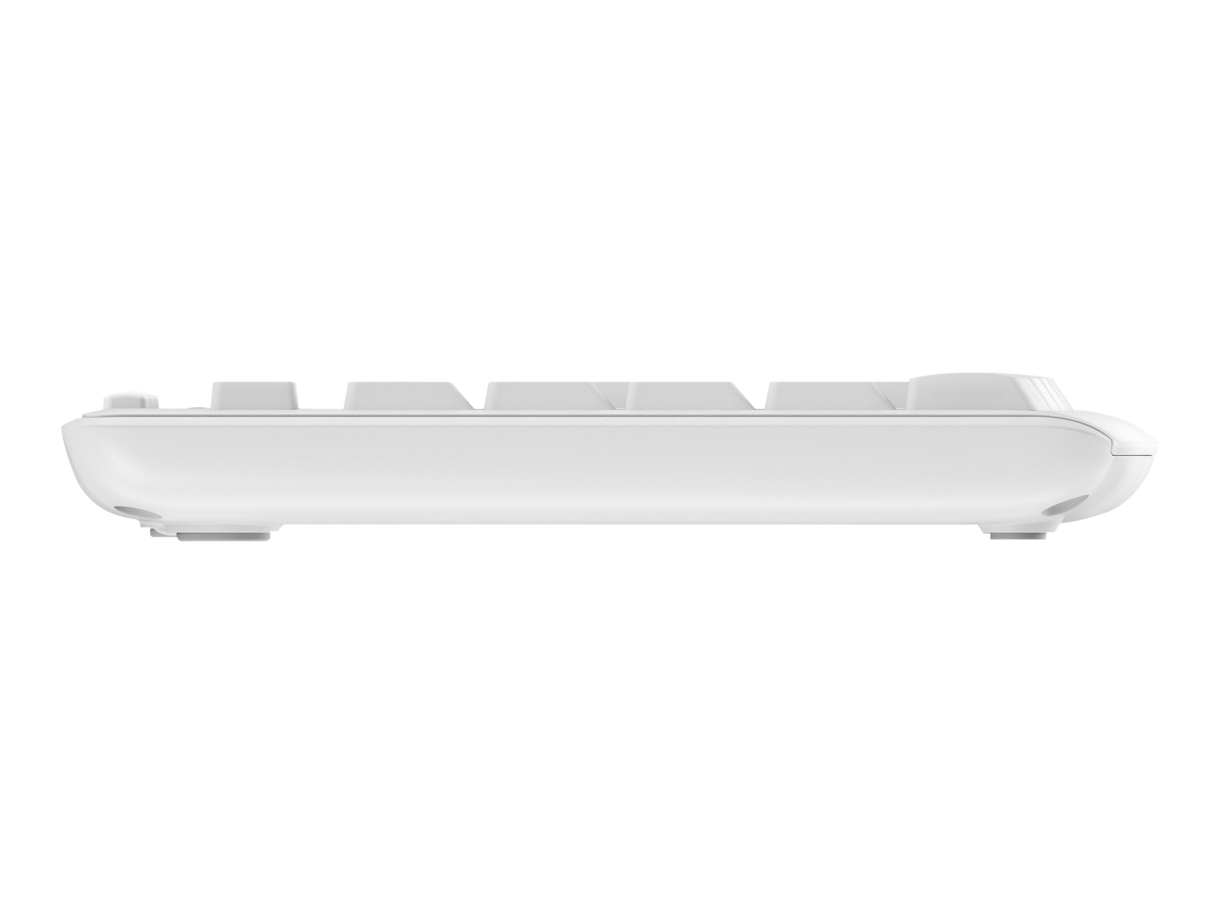 Image4