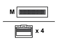 HPE Netzwerkkabel - SFP+ zu QSFP+ - 15 m -