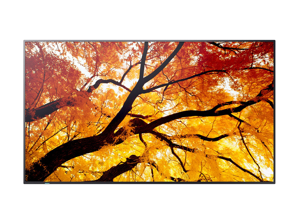 Sharp MultiSync PN-M982 - 247.7 cm (98") Diagonalklasse M2 Series LCD-Display mit LED-Hintergrundbeleuchtung - Digital Signage - 4K UHD (2160p)