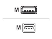 Cisco USB-Kabel - USB (M) zu Mini-USB, Typ B (M)