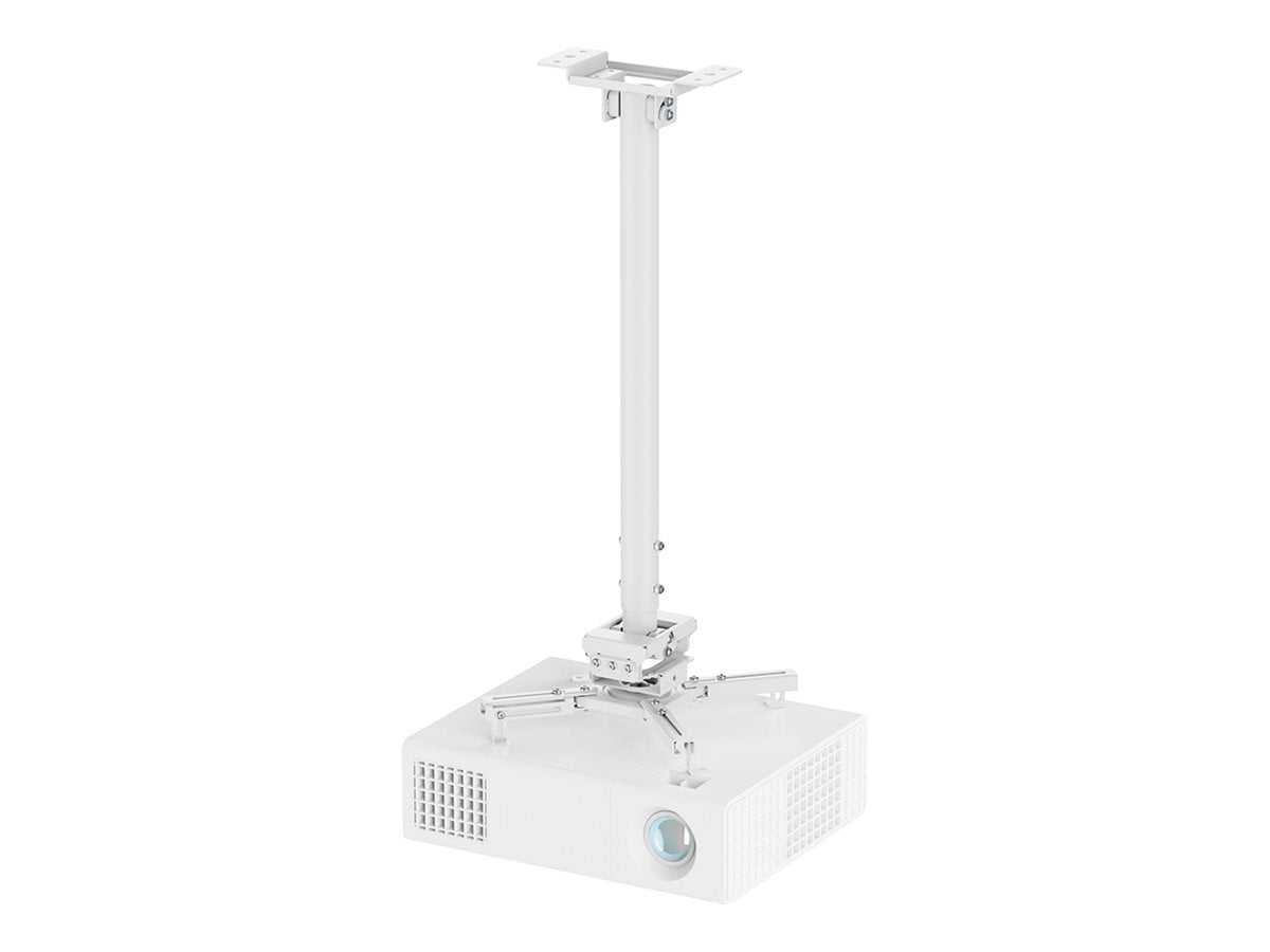 Image1