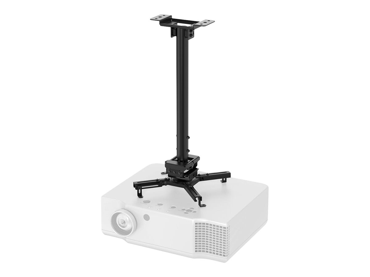 Image1