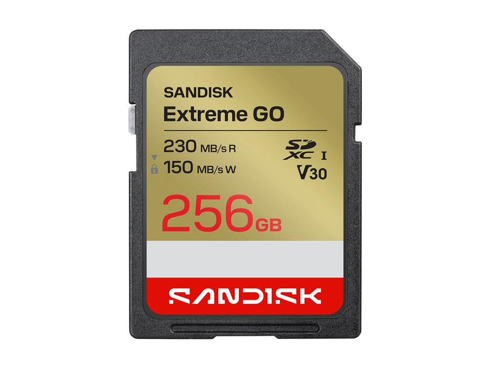 SanDisk Extreme Go - Flash-Speicherkarte - 256