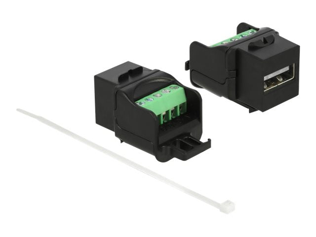 Delock Modulare Eingabe - USB 2.0 Type A