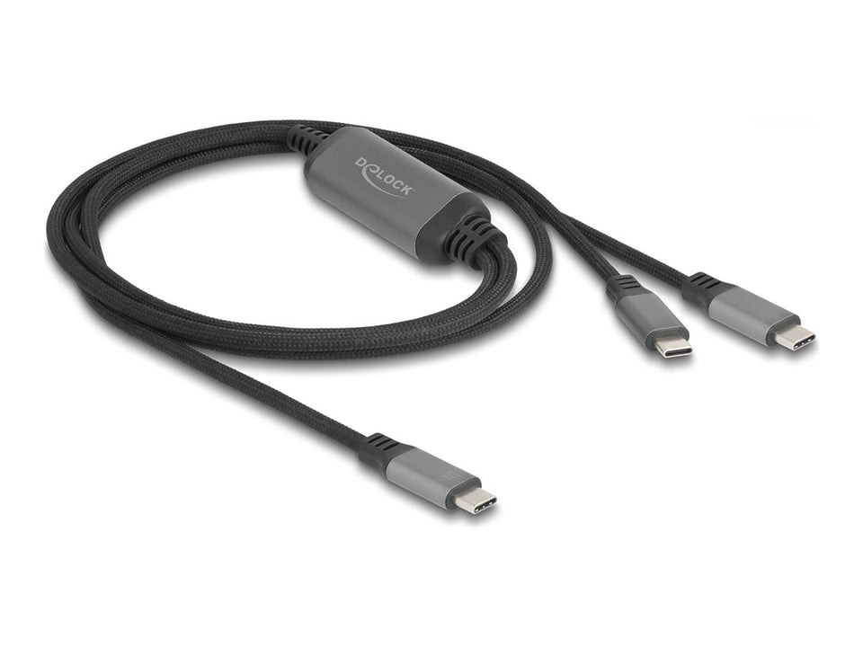 Delock USB-Kabel - USB-C (M) zu USB-C (M)
